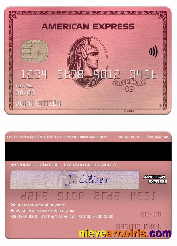 USA Capital One bank amex rose gold card